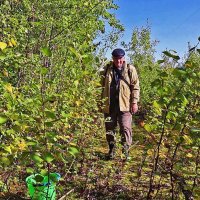 Июль...Олений остров. Я-грибник-ягодник! :: Владимир 