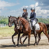 Выездка :: SanSan 