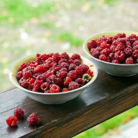 Угощайтесь :: Валерий Иванович