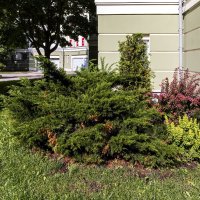 Лето в городе :: Евгений 