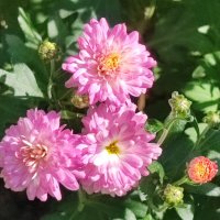 ,,, :: Сергей Тимоновский