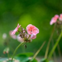 ___ :: Yuriy V ___ :: Yuriy V