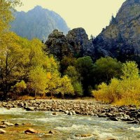 ПО НИЗАМ. :: Виктор Осипчук