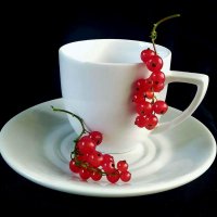 . :: TAMARA КАДАНОВА