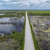 Паря над болотом :: Сергей Жуков