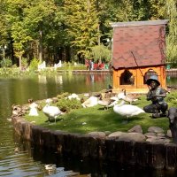 Пруд в парке Горького гХарьков :: Татьяна Пальчикова
