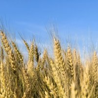 К небу :: Алексей Лукаев