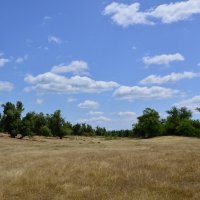 В степи. :: Виктор 