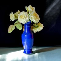 Вечерний лучик :: Валентина Богатко 