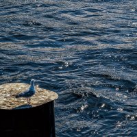 "Просто осталась краска" :: Сергей Шатохин "Просто осталась краска" :: Сергей Шатохин