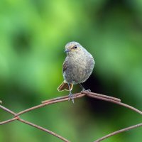 * :: Виталий Емельянов