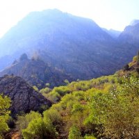 ПО НИЗАМ. :: Виктор Осипчук