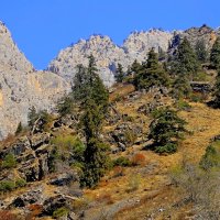 ПО НИЗАМ. :: Виктор Осипчук ПО НИЗАМ. :: Виктор Осипчук