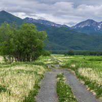 ... :: Жора Житников ... :: Жора Житников