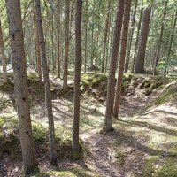 Эхо войны. :: Pippa 