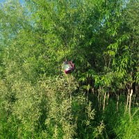 Назва. отсу. :: Денис Безногов