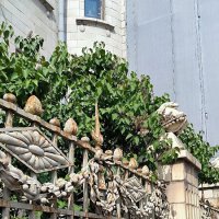 Петербург в деталях. Ограды. :: Ольга 