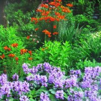 В саду :: Людмила Смородинская В саду :: Людмила Смородинская