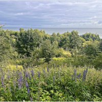 Утро Филинской бухты. :: Валерия Комова