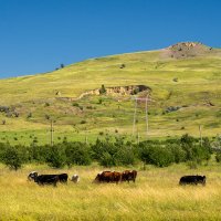 Окрестности :: Игорь Сикорский