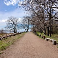 Чудесный апрель 2025 года. :: Лия ☼