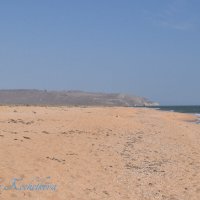 Природа Крыма :: Amazing Cosmea Природа Крыма :: Amazing Cosmea