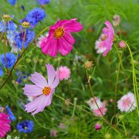 ... :: Наталья