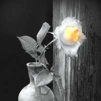 .Наваждение чувств, отпуская, однажды сойдет на нет  и рассеется прежних иллюзий неяркий свет ... :: TAMARA КАДАНОВА