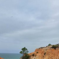 На юге Португалии :: Ирэн 