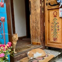 Хозяюшки :: А  И М