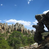 В Национальном парке Сьерра-де-Органос, Мексика. :: unix (Илья Утропов)