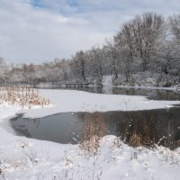 На Медведице :: Елена П