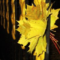 Скоро осень :: Натали 