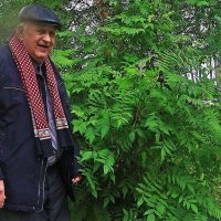 Июль...Я  у куста цветущего рябинника! :: Владимир 