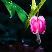 Фонарик. :: Игорь Викторов