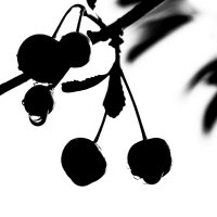 Вишневая графика. :: Игорь Викторов