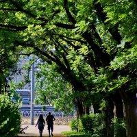 На прогулке... :: Николай Саржанов