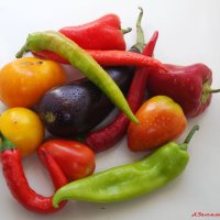 Пора готовить овощную икру! :-) :: Андрей Заломленков