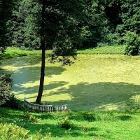 Малый пруд :: Анатолий Колосов