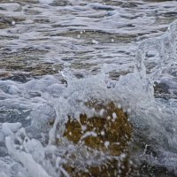 Брызги :: Giant Tao /