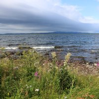 Разноцветная Имандра :: Ольга 