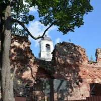 Выборг :: Николай 