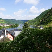 Долина Мозеля — один из самых живописных уголков Германии :: Галина Долина Мозеля — один из самых живописных уголков Германии :: Галина