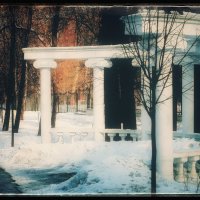 В зимнем парке... :: Руслан 