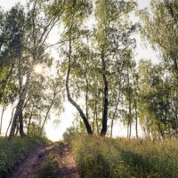 Свет :: sorovey Sol Свет :: sorovey Sol