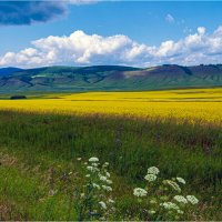 *** :: Алексей Мезенцев