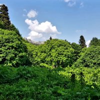 СЕВЕРНЫЙ КАВКАЗ :: Tata Wolf