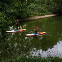 Водоплавающие :: Андрей Лукьянов Водоплавающие :: Андрей Лукьянов