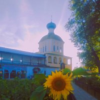 Летний вечер :: Сергей Кочнев