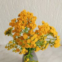 Скромный букет с пижмой :: Любовь Сахарова